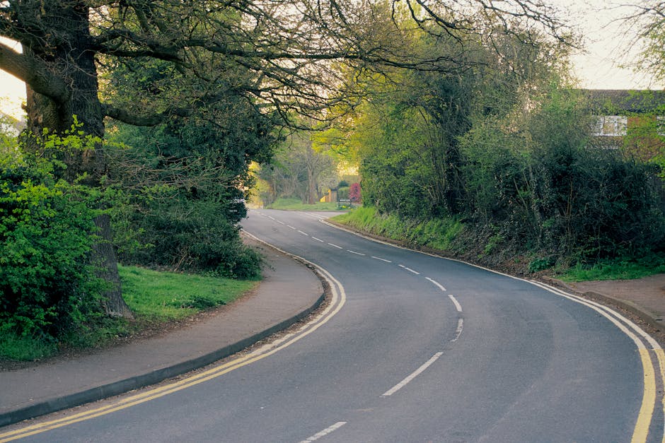 A narrow two-lane road at Harold Hill with double yellow lines along the edge, bordered by a sidewalk on the left and a grassy verge on the right. Mature trees with leafy branches overhang the road, and dense bushes and hedges line both sides, creating a semi-rural residential environment. In the background, there is a residential building with a red roof partially obscured by foliage, and the sunlight filters through the trees, casting a gentle glow. The roadway curves slightly to the left, leading towards a distant intersection or bend, typical of quiet suburban streets. The scene captures a peaceful, well-maintained area suitable for local house removals or furniture transport, reflecting the environment where Man with Van Harold Hill conducts its home relocation and moving services.