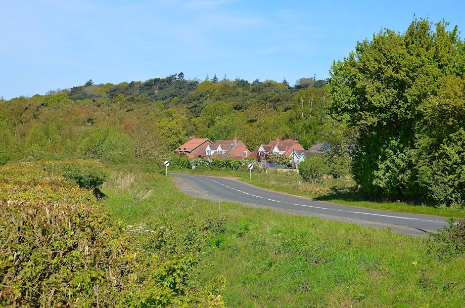 A rural scene along the A1306 road at Harold Hill with a winding asphalt roadway bordered by grassy verges and lush greenery on both sides. To the right, a large, leafy tree with dense foliage overhangs part of the road, while on the left side, low shrubs and bushes are visible. In the distance, a small cluster of red-brick houses with pitched roofs and white window frames sits at the base of a gently sloping hill covered with trees and woodland. The sky above is clear and bright blue, indicating a sunny day. This peaceful countryside setting provides a natural backdrop relevant to home relocation or moving services, such as those offered by Man with Van Harold Hill, supporting efficient furniture transport and packing in scenic environments.