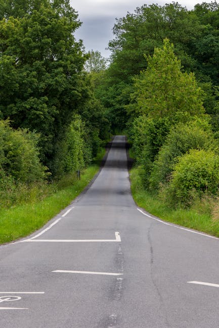 A narrow two-lane road at Harold Hill with double yellow lines along the edge, bordered by a sidewalk on the left and a grassy verge on the right. Mature trees with leafy branches overhang the road, and dense bushes and hedges line both sides, creating a semi-rural residential environment. In the background, there is a residential building with a red roof partially obscured by foliage, and the sunlight filters through the trees, casting a gentle glow. The roadway curves slightly to the left, leading towards a distant intersection or bend, typical of quiet suburban streets. The scene captures a peaceful, well-maintained area suitable for local house removals or furniture transport, reflecting the environment where Man with Van Harold Hill conducts its home relocation and moving services.